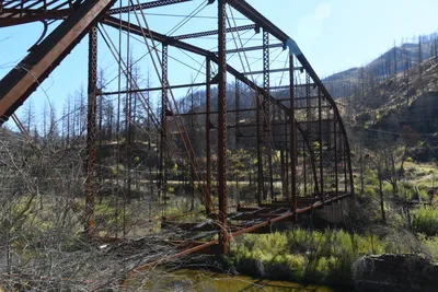 DSC_6475 (Large).JPG